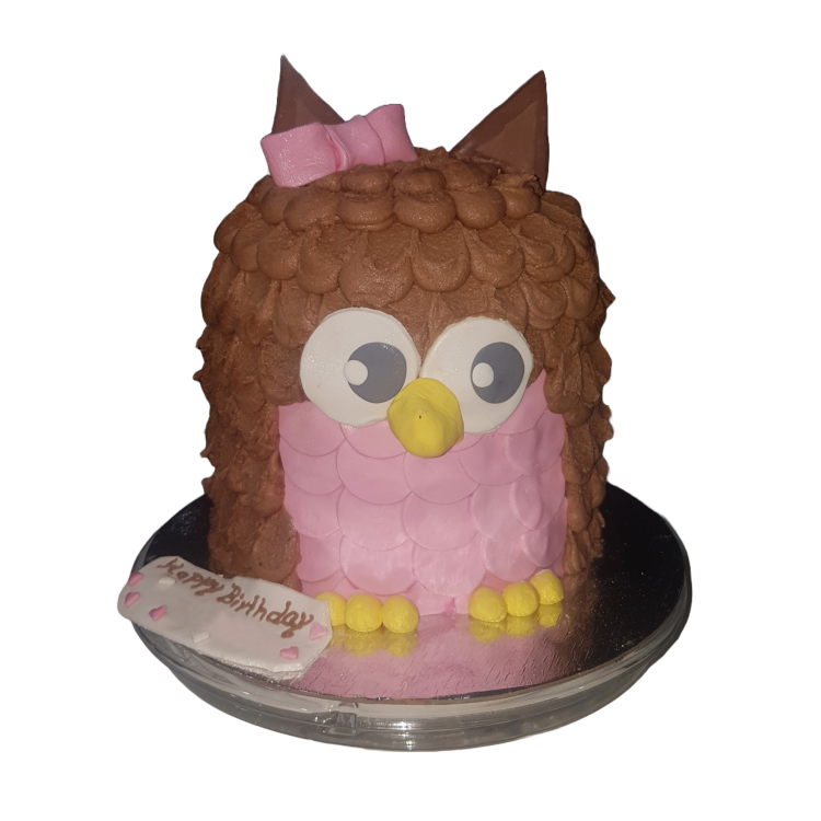 Owl Cake