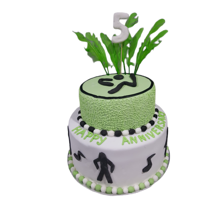 Zumba Cake